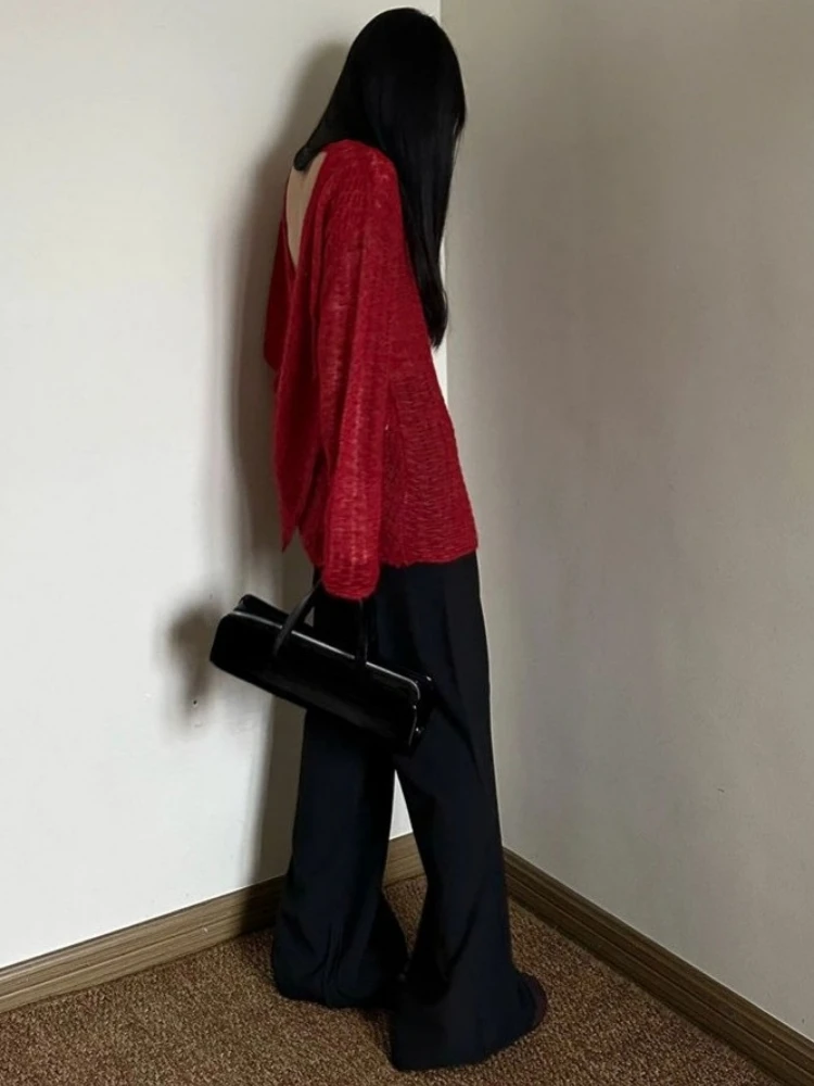 Camiseta de punto transparente - Embroidery Knit reseña y precio